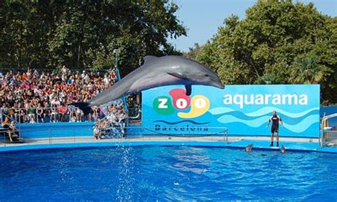 Compra Entradas Zoo Online –Barcelona | TicketsNET