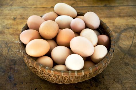 Comprar huevos a domicilio: tipos y usos en cocina   Buenmercadoacasa
