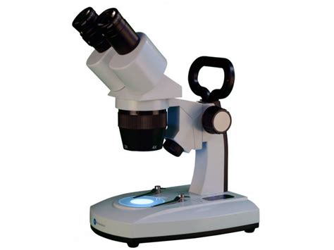 Comprar Microscopio Estereoscópico BMS ST 30 C 2L C 762485 ...