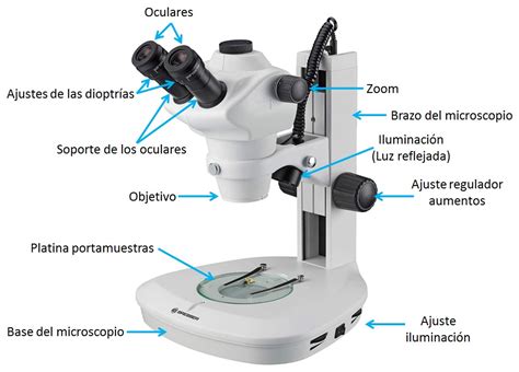 Comprar MicroscopiosLa Web con la Mejor Información de ...