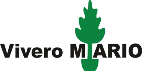 Comprar Plantas de Interior en Vivero Mario | Filtrado por Productos ...