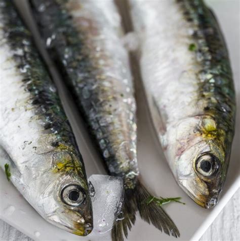 Comprar sardinas enteras congeladas   Bolsa 1kg