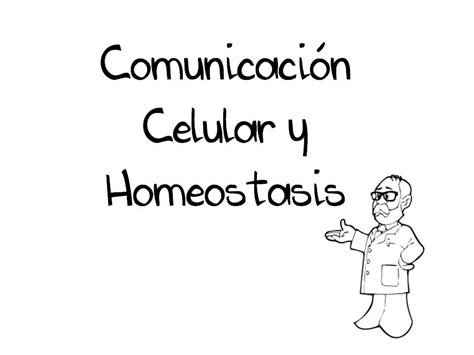 Comunicación Celular y Homeostasis   YouTube