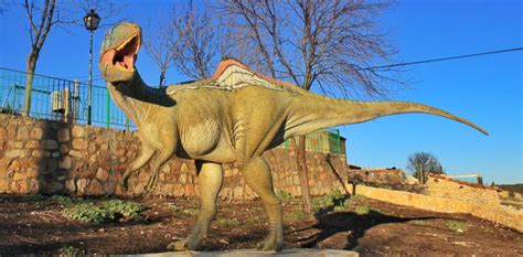 Concavenator , el dinosaurio más famoso de España, vuelve ...