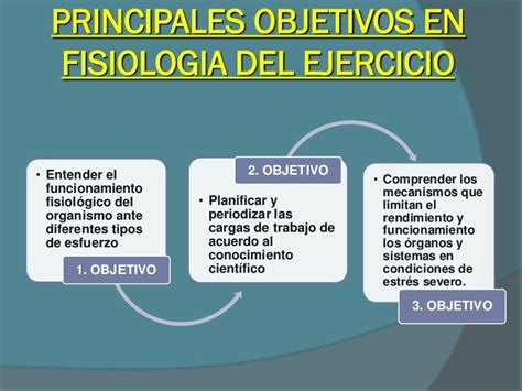 Concepto fisiología del ejercicio