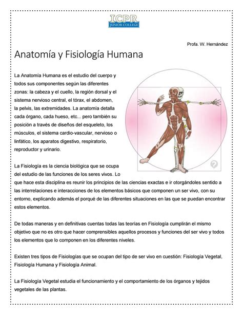 Conceptos anatomía y fisiología humana by Wilmaris Hernández   Issuu