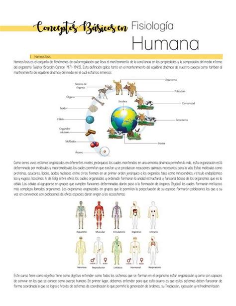 Conceptos Básicos en Fisiología Humana | uDocz