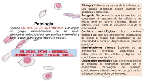 Conceptos patologia y semiología