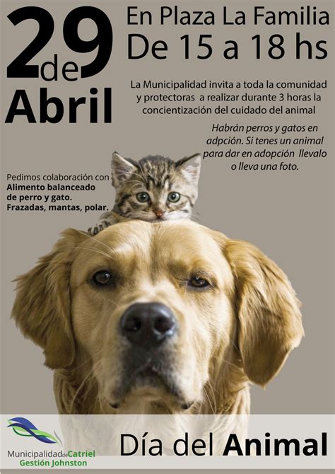 Concientización por el Día del Animal en Plaza de la Familia – Viento ...
