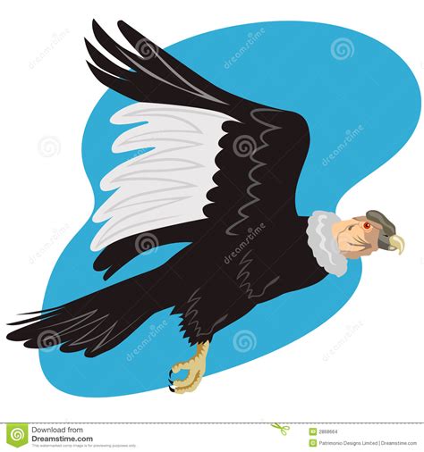 Cóndor andino en vuelo stock de ilustración. Ilustración de pico   2868664