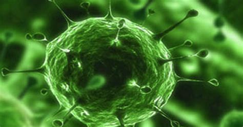 Confirman nuevos casos del coronavirus