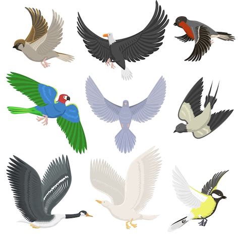 Conjunto de alas diferentes aves voladoras salvajes de dibujos animados ...