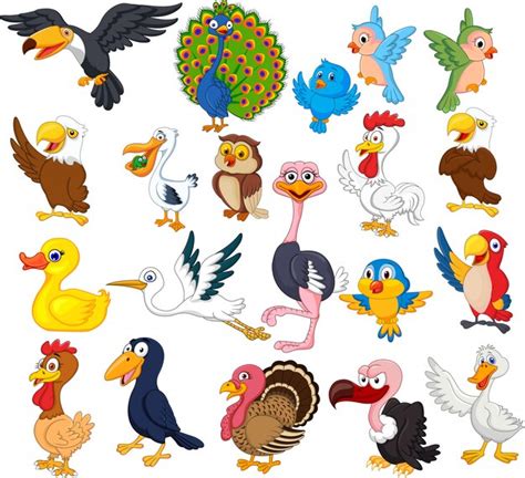 Conjunto de colección de aves de dibujos animados | Vector ...