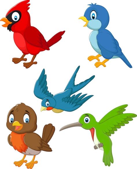 Conjunto de colección de pájaros de dibujos animados | Vector Premium