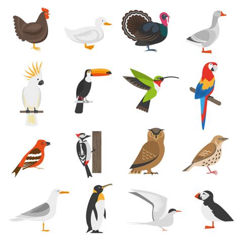Conjunto de iconos de colores planos de aves | Vector Gratis