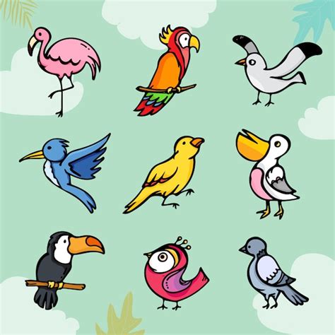 Conjunto de pájaros lindos dibujos animados coloridos | Vector Premium