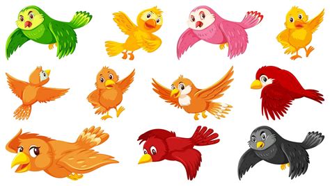 conjunto de personajes de dibujos animados de aves 1337872 ...