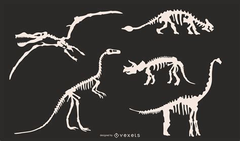 Conjunto De Siluetas De Esqueleto De Dinosaurio   Descargar Vector