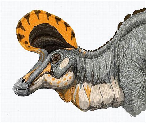Conoce a Lambeosaurus, el dinosaurio con cresta de hacha