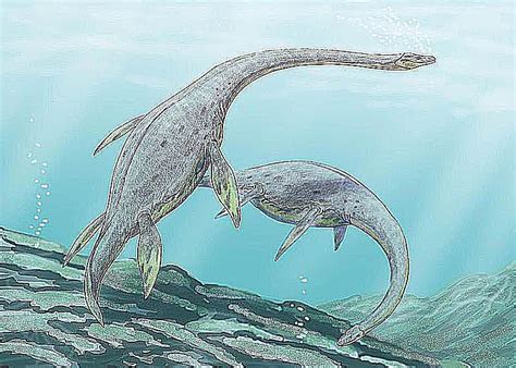 Conoce a los reptiles marinos ápice de la era mesozoica posterior