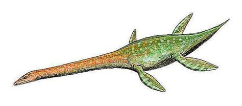 Conoce a los reptiles marinos ápice de la era mesozoica posterior