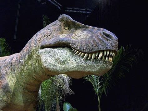 Conoce de cerca a los dinosaurios en la Dino Expo de Valencia