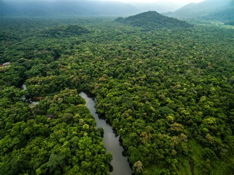 Conoce la belleza de la selva amazónica de Colombia — Mi Viaje