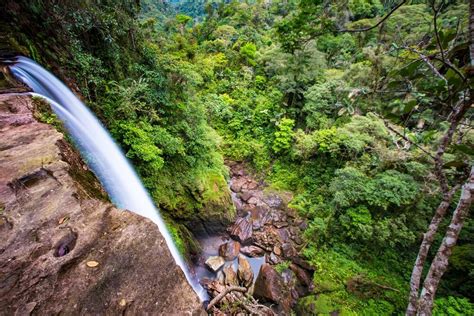 Conoce la belleza de la selva amazónica de Colombia — Mi Viaje