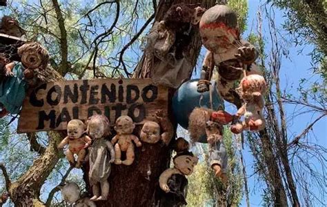 Conoce la leyenda de la Isla de las Muñecas en Xochimilco; hay testigos