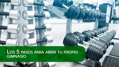 Conoce los 5 pasos para abrir tu propio gimnasio   AMED