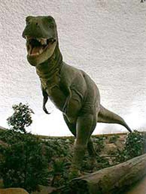 Conoce los tipos de Dinosaurios que existieron.   Taringa!