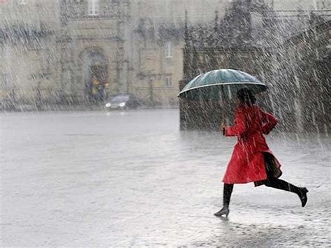 Conoce los tipos de lluvias según su origen   Parques Alegres I.A.P.