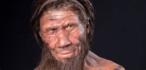 Conoce por qué el hombre de Neandertal tenía una gran ...