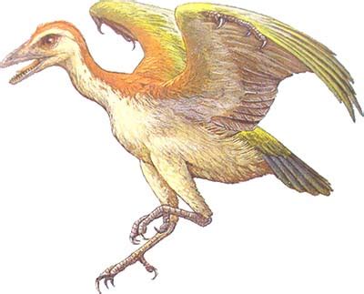 Conoce todas las aves prehistóricas – Dinosaurios
