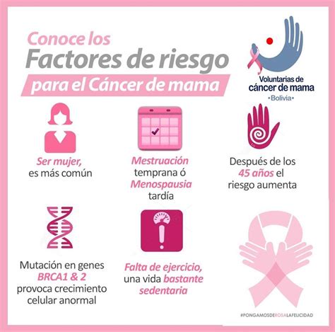 Conoces las causas del cáncer de mama?...   Mi Refugio ...