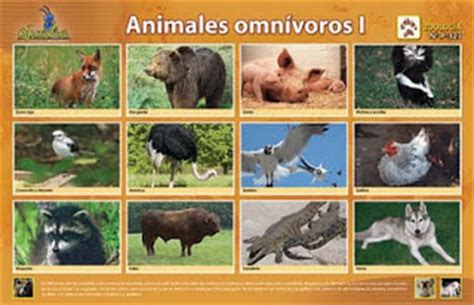 CONOCIENDO LAS CLASES DE ANIMALES: C.  ANIMALES OMNIVOROS