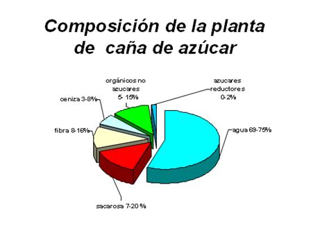 Conocimientos básicos de la caña de azúcar   Monografias.com