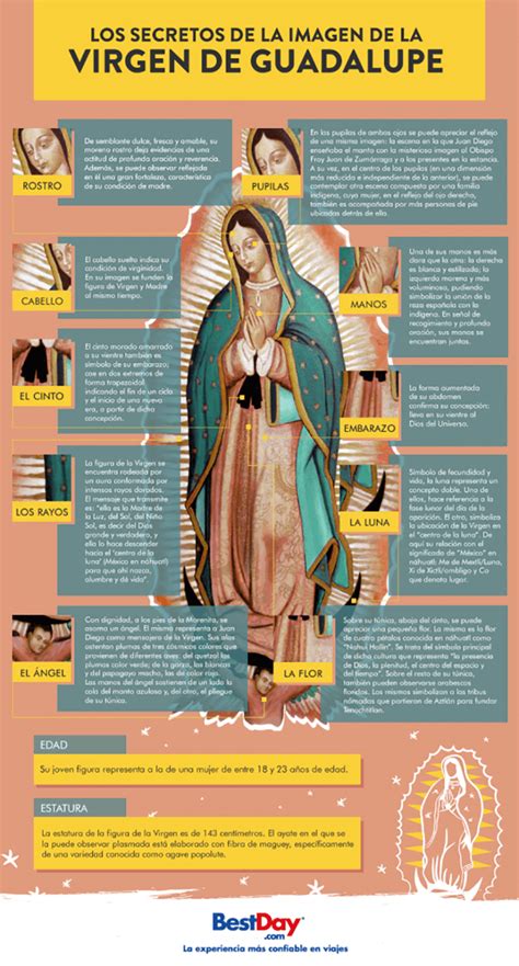 Conozca cada significado que tiene la imagen de la Virgen de Guadalupe ...