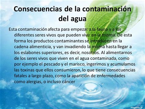 Consecuencias De La Contaminacion   SEONegativo.com
