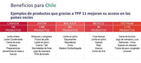 Consejo Exportador de Alimentos: “Quienes dicen que Chile es mejor sin ...