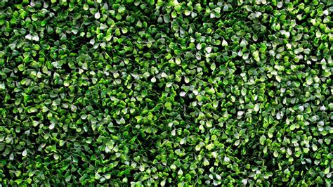 Consejos: Haz un muro verde con follaje artificial