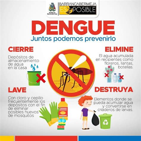 Consejos para controlar la propagación de mosquitos portadores de ...