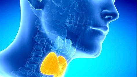 Consejos para cuidar la salud de la tiroides