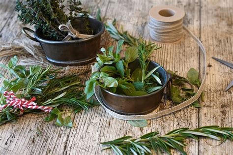 Consejos para cultivar plantas aromáticas en casa