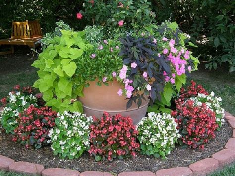 Consejos para jardines pequeños | Plantas