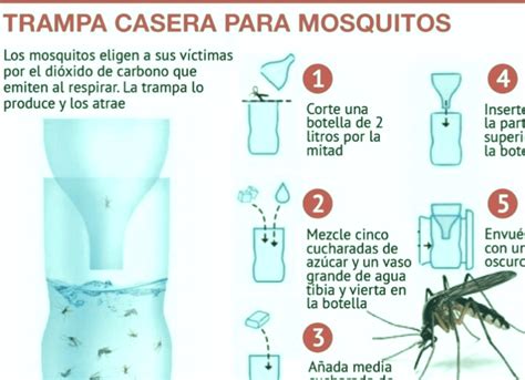 Consejos Para Un Repelente De Mosquitos Natural Y Efectivo