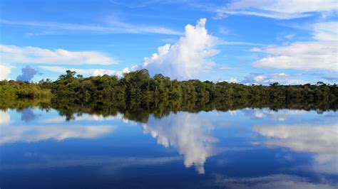 Conservación a escala: la cuenca del río Amazonas ...