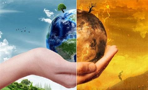 Conservar el Medio Ambiente – Blog