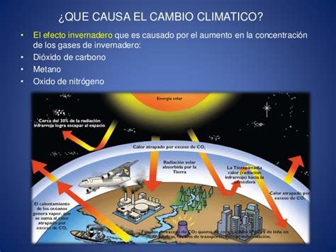 CONSIDERANDO EL CAMBIO CLIMATICO