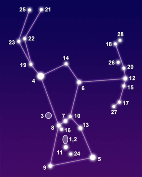 Constellation Orion   The Constellations on Sea and Sky